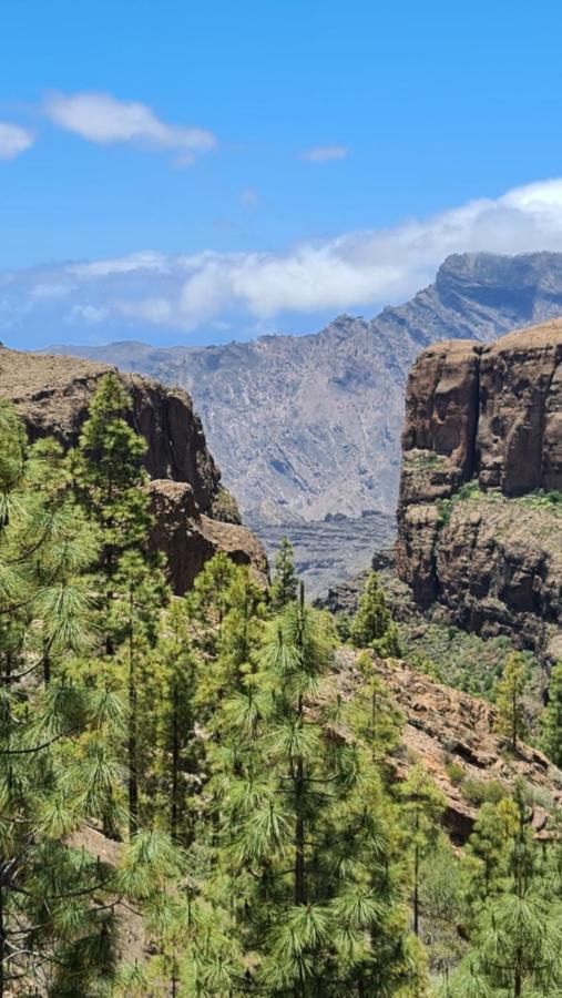 Puerto Rico Top Teide And Amadores View Exteriör bild